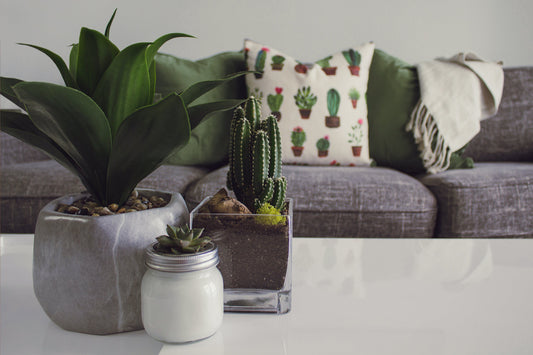 10 Creative Ways to Refresh Your Home Decor on a Budget